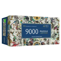 Trefl Puzzle 9000 UFT - Starověké nebeské mapy