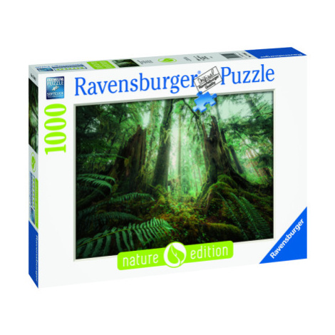 Puzzle Les 1000 dílků RAVENSBURGER