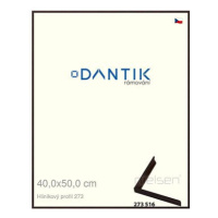 DANTIK rámeček 40 × 50, ALU profil 7273 Dýha wenge tmavý plexi čiré