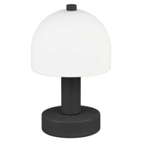 Černo-bílá stolní lampa se skleněným stínidlem (výška 19 cm) Glenn – Trio