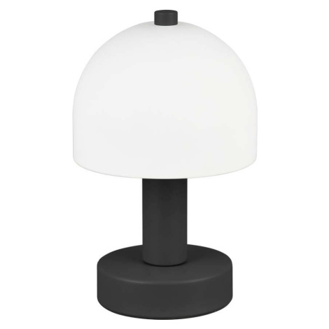 Černo-bílá stolní lampa se skleněným stínidlem (výška 19 cm) Glenn – Trio