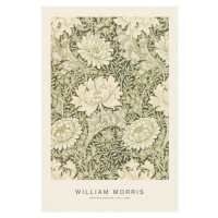 Obrazová reprodukce Chrysanthemum (Special Edition Classic Vintage Pattern) - William Morris, 26