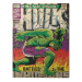 Obraz na plátně Hulk - Inhumans, (60 x 80 cm)