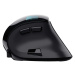 Trust Voxx Rechargeable Ergonomic Wireless Mouse 23731 Černá