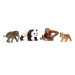 Schleich 42736 wild life asie startovací set