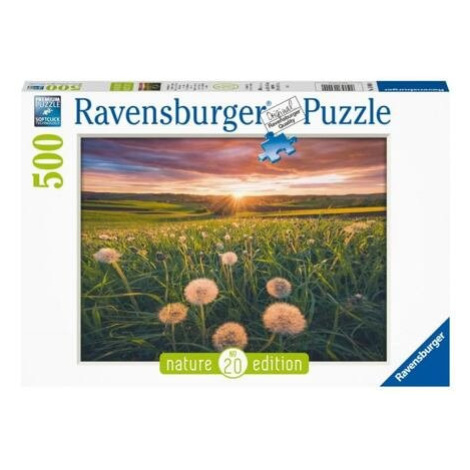 Ravensburger Pampelišky v západu slunce 500 dílků