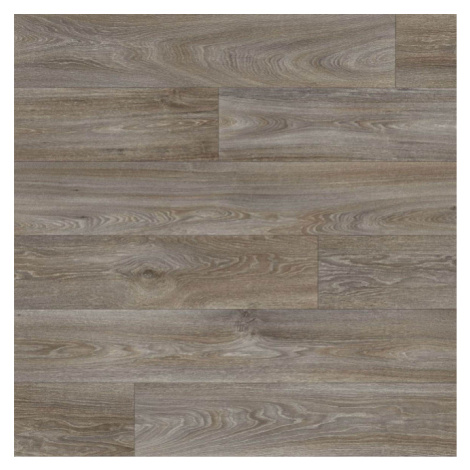 PVC podlaha INSPIRE DUB HAVANNA šedá