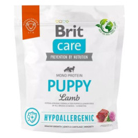 Brit Care Dog Hypoallergenic s jehněčím Puppy 1 kg