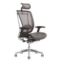 Kancelářská ergonomická židle Office Pro LACERTA — více barev, nosnost 150 kg Antracit