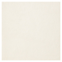Dlažba Porcelaingres Just Grey white 60x60 cm mat X600114