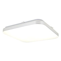 LED Stropní svítidlo AJAX LED/10W/230V