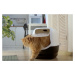 Rotho 88188 Toaleta pro kočky ECO BAILEY, béžová, 56 x 40 x 39 cm