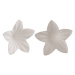 Bílé květy z jedlého papíru 400ks 2cm