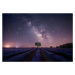 Fotografie Lavender fields nightshot, joanaduenas, 40x26.7 cm