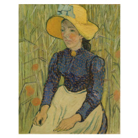 Obrazová reprodukce Peasant Girl in Straw Hat, 1890, Vincent van Gogh, 30 × 40 cm