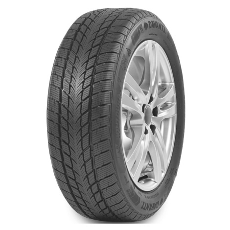 DAVANTI 205/60 R 16 92H WINTOURA TL M+S 3PMSF DAVANTI