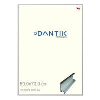 DANTIK rámeček 50 × 70, ALU profil 7022 Stříbrný matný plexi čiré