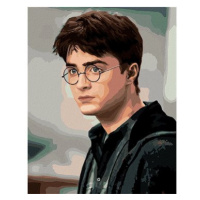 Portrét zahleděný Harry Potter, 40×50 cm, bez rámu a bez vypnutí plátna