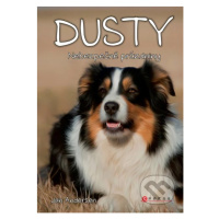 Dusty: Nebezpečné prázdniny - Jan Andersen - kniha z kategorie Beletrie pro děti