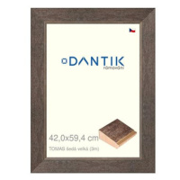 DANTIK rámeček 42 × 59,4, TOMAS šedý velký plexi čiré