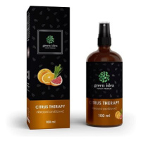 Green Idea Citrus Therapy - přírodní osvěžovač vzduchu 100 ml