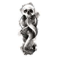 Umělecký tisk Death Eater Symbol, (26.7 x 40 cm)