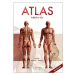 Atlas lidského těla - Jordi Vigué