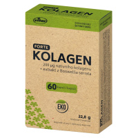 VITAR Kolagen Forte EKO 60 kapslí