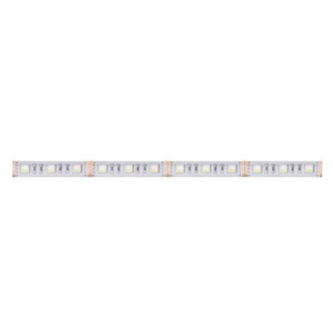 LED PÁSEK RGBW 24V 14,4W 10mm IP68 - 5050 (kotouč 5m) Panlux