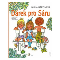 Dárek pro Sáru - Ivona Březinová