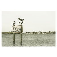 Fotografie Coastal View from Fort Myers Beach | Vintage, Melanie Viola, 40x26.7 cm