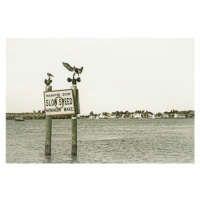 Fotografie Coastal View from Fort Myers Beach | Vintage, Melanie Viola, 40 × 26.7 cm