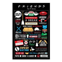 Friends Infographic