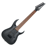 Ibanez RGA742FM-TGF Transparent Gray