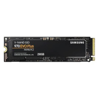 Samsung 970 EVO PLUS 250GB