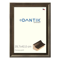 DANTIK rámeček 29,7 × 42, Ferrosa grafit plexi čiré