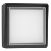 NOVA LUCE venkovní nástěnné svítidlo CAPE antracitový hliník matný akryl a čiré sklo LED 10W 300