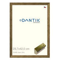 DANTIK rámeček 29,7 × 42, DUNE zlatý plexi čiré