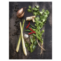 Umělecká fotografie Vegetables, 1x - Prints1, (30 x 40 cm)