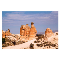 Fotografie Camel Rockin Devrent Valley at Cappadocia., Newlander90, 40x26.7 cm
