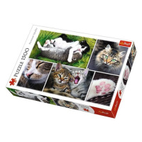 TREFL - Puzzle Kočky koláž 1500