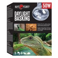 Repti Planet žárovka Daylight Basking Spot 50W