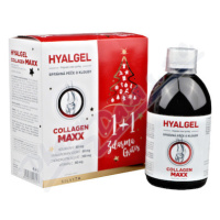 Hyalgel Collagen MAXX vánoční balení 2x500ml