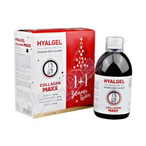 Hyalgel Collagen MAXX vánoční balení 2x500ml