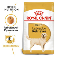 Royal Canin Labrador Adult - granule pro dospělé psy labradorského retrívra 12 kg