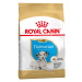 Royal Canin Dalmatin Puppy - Výhodné balení 2 x 12 kg