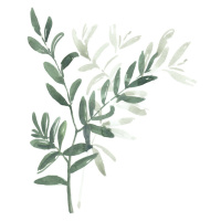 Ilustrace Watercolor laurel branch, Blursbyai, (30 x 40 cm)