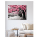 Obrazy na stěnu - Alej růžových stromů Rozměr: 40x50 cm, Rámování: bez rámu a bez vypnutí plátna