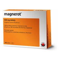 MAGNEROT 500 mg 100 tablet