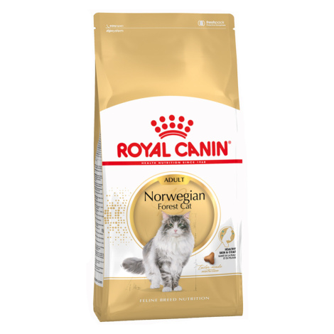 Royal Canin Norwegian Forest Cat Adult - 10 kg